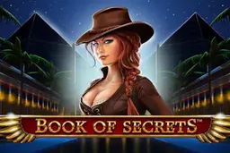 picture of Book of Secrets