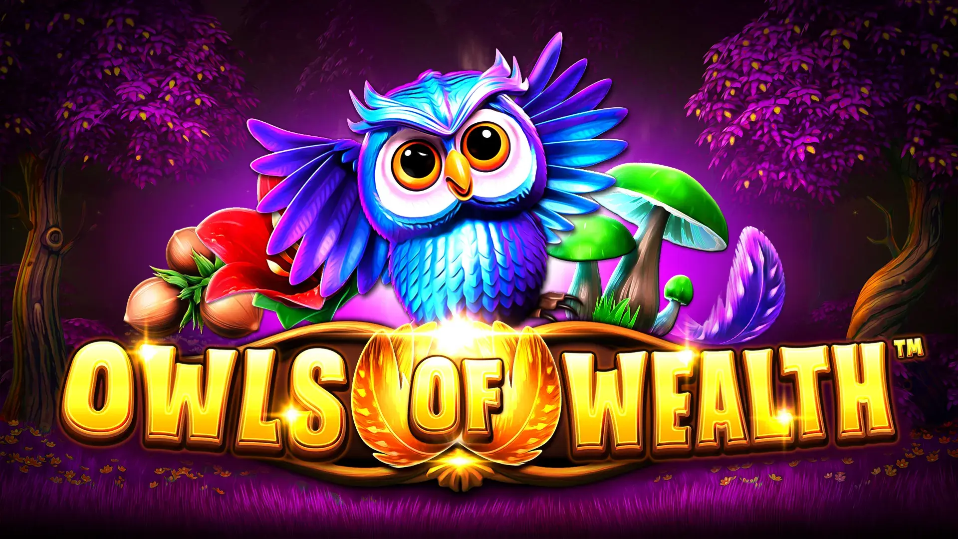 game of Owls of Wealth